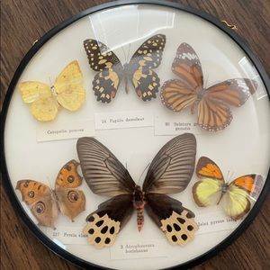 Meet your Posher, Jo